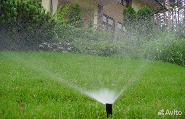 Газонная трава