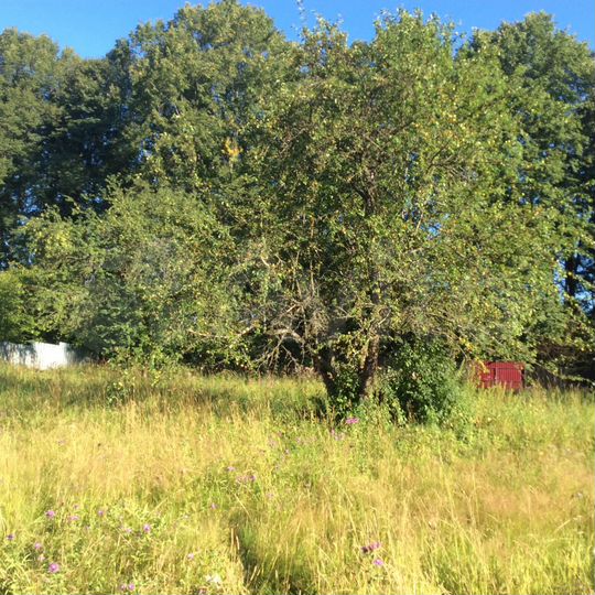 Дом 80 м² на участке 15 сот.