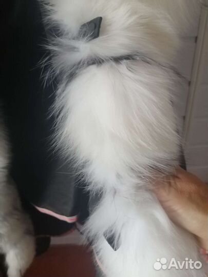 Куртка зимняя парка, р. 48-50, доставка безплатно