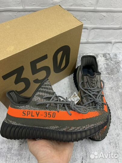 Кроссовки Adidas Yeezy Boost 350 v2 Carbon Beluga