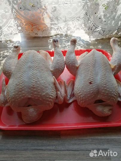 Мясо домашнего бройлера