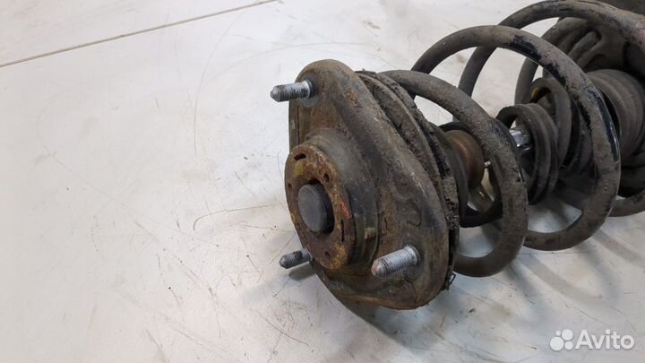 Амортизатор подвески правый передний Toyota Prius