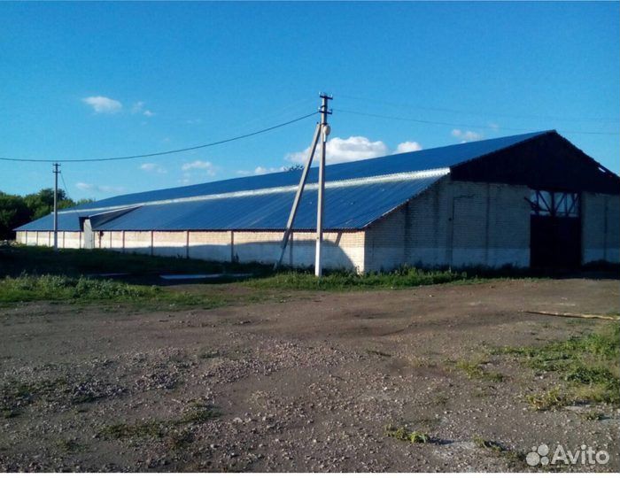 Рабочий свинокомплекса (Вахта)