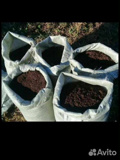 Навоз перегной