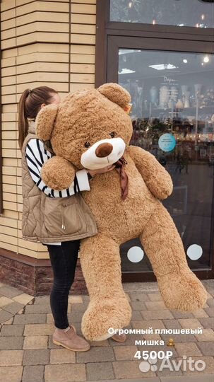 Плюшевый медведь