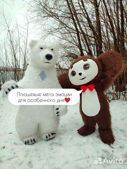 Поздравление от белого мишки