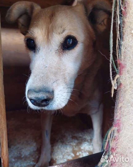 Жизнь почти закончена
