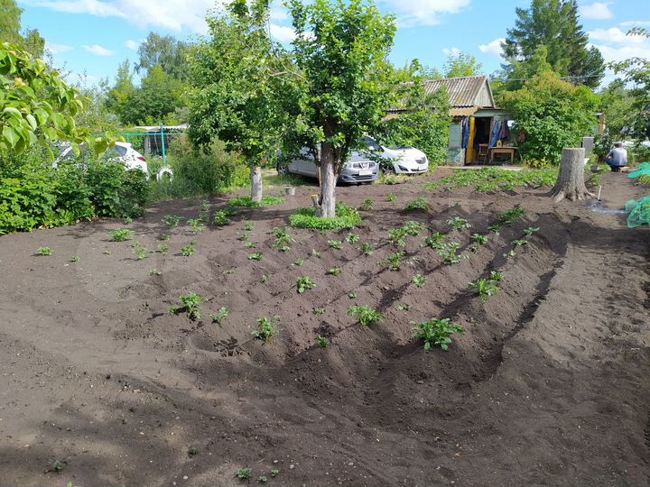 Дача 12 м² на участке 6 сот.