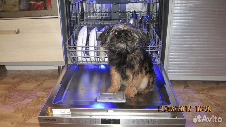 Подключение посудомоечных, стиральных машин, газ