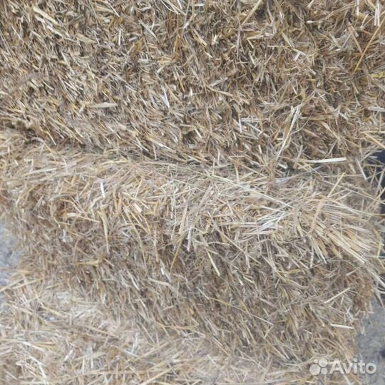 Солома в тюках, сено в тюках,сено в рулонах