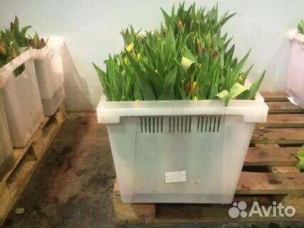 Крышки к бакам для хранения и транспортировки цвет