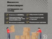 Упаковщик без опыта работы