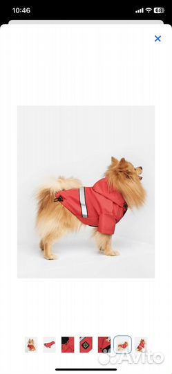Дождевик - куртка для собак