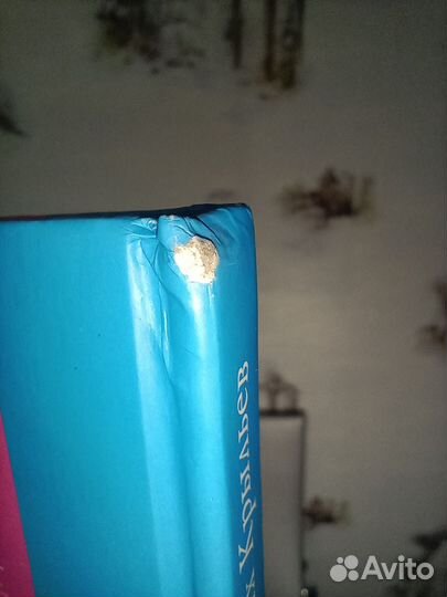 Книга Маленькая фея