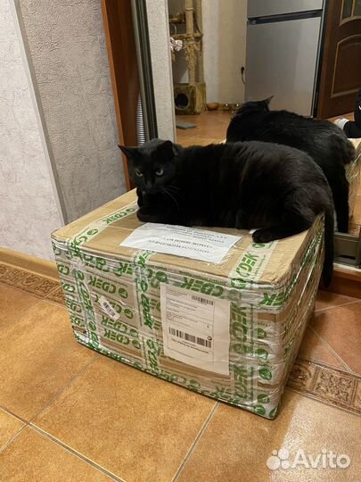 Вещи детские