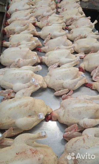 Мясо утки, бройлера, гуся