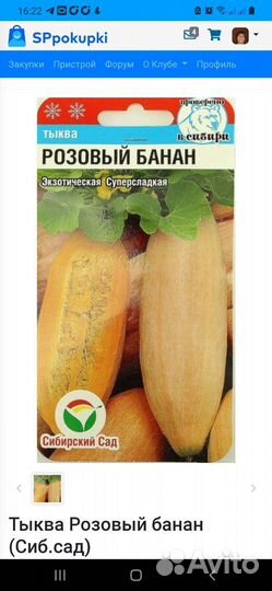 Семена тыквы розовый банан