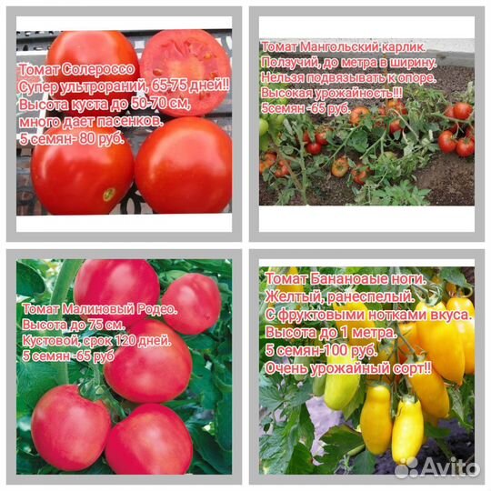 Семена овощей