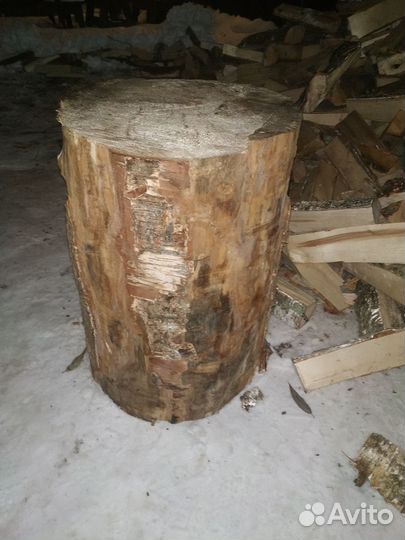 Большой пень берёза