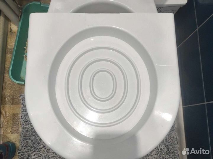 Система приучения котов и кошек к унитазу