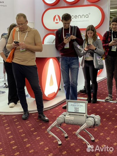 Аренда робособаки