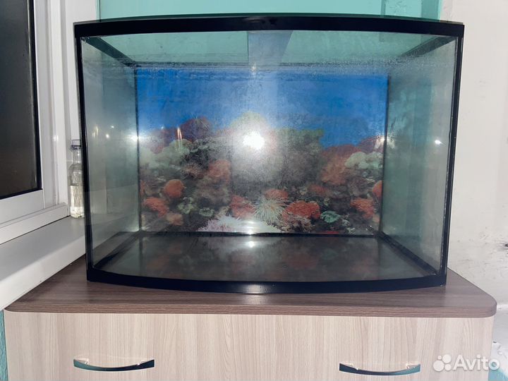 Аквариум