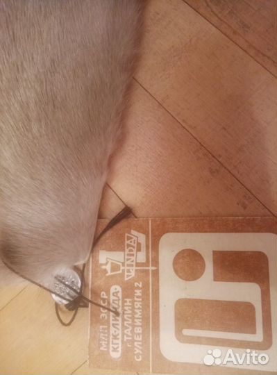 Шкурки нутрии и норки