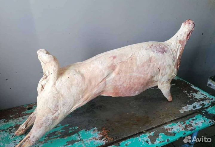 Мясо баранина курица говядина