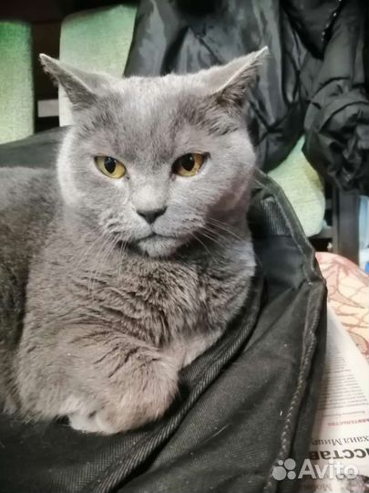 Для бмв е39 защита левая оригинал 8176757