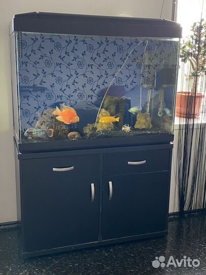 Аквариум с тумбой 300 литров