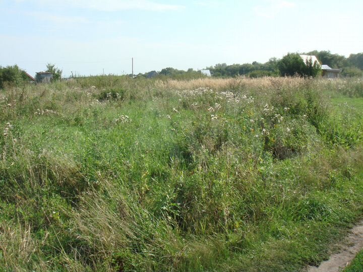 Участок 10 сот. (СНТ, ДНП)