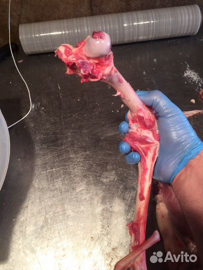 Свежие Кости ливер рубец Субпродукты Голова