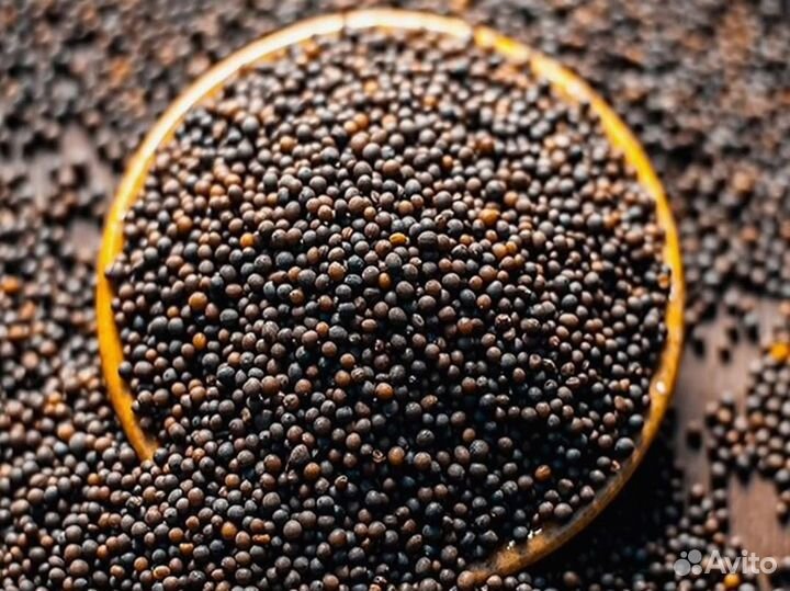 Чёрная горчица. Оптом от 1 тонны