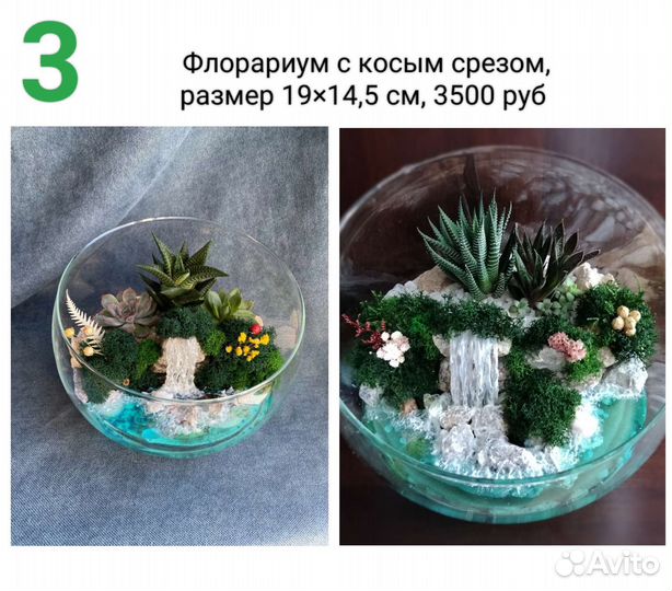 Флорариум, подарок, декор, букет для учителя