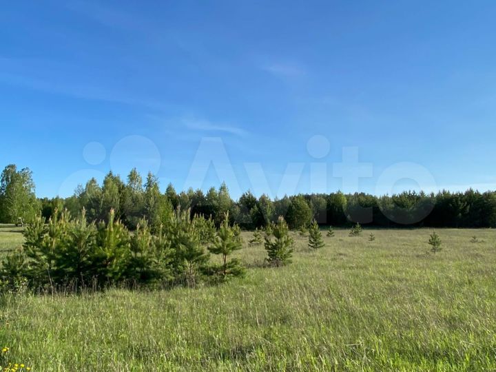 Участок 3,7 га (ИЖС)