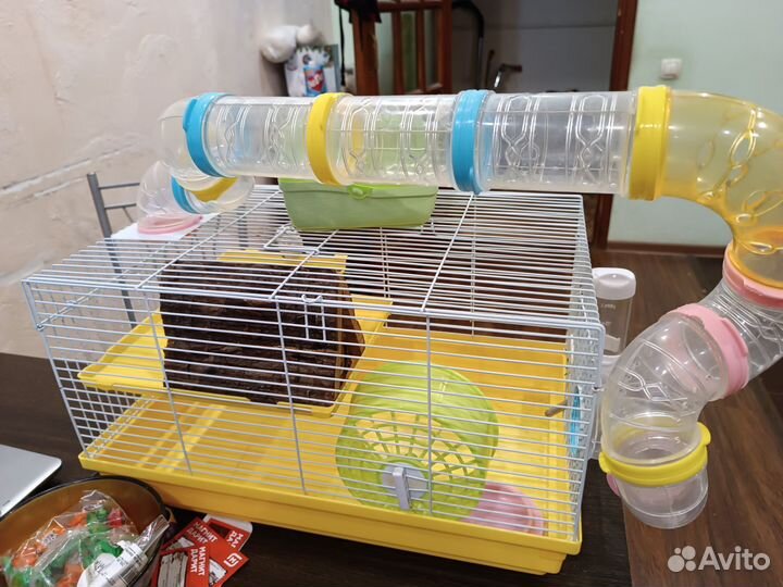 Клетка для грызунов