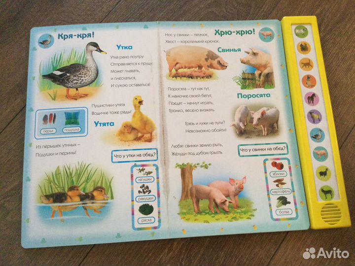 Говорящая книга