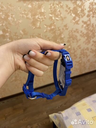 Шлейка для маленькой собаки