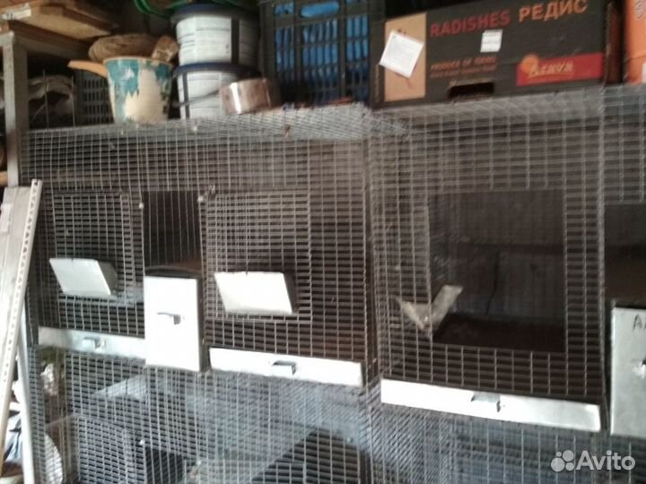 Продам клетки для шиншилл