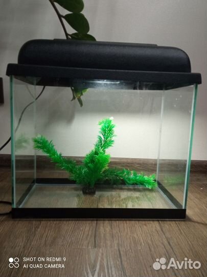 Аквариум