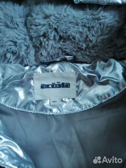 Куртка Акула