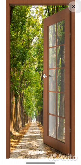 Фотообои лесная дорога