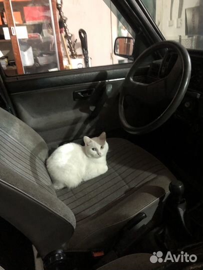 Jetta 2 по запчастям