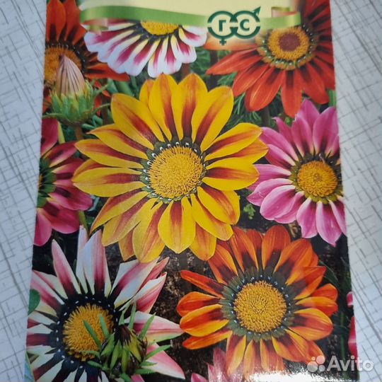 Гацания Триада