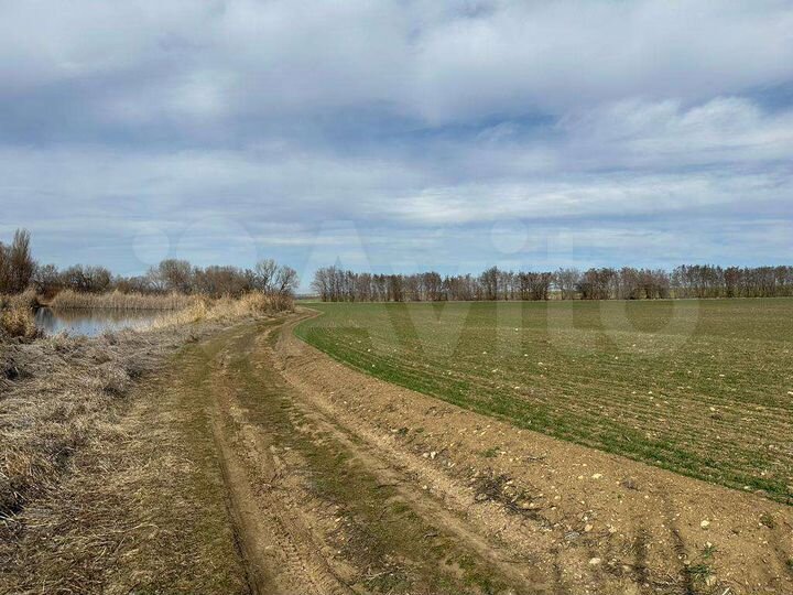 Участок 2,95 га (СНТ, ДНП)