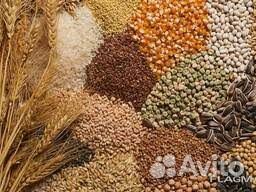 Корма для с/х животных, сено в брикетах