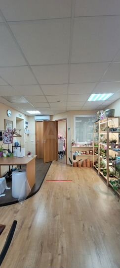 Офис, Московский проспект, 205