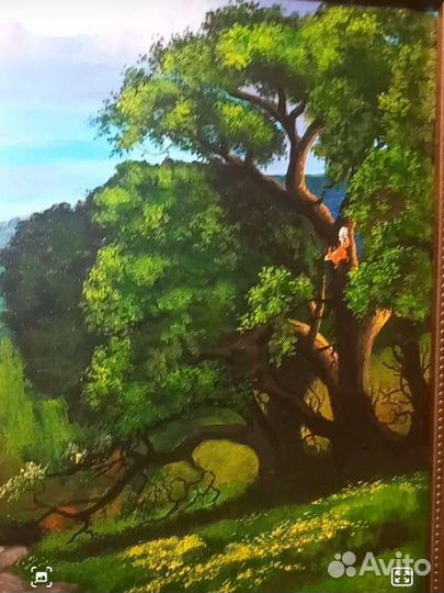 Картины.Стенгазеты