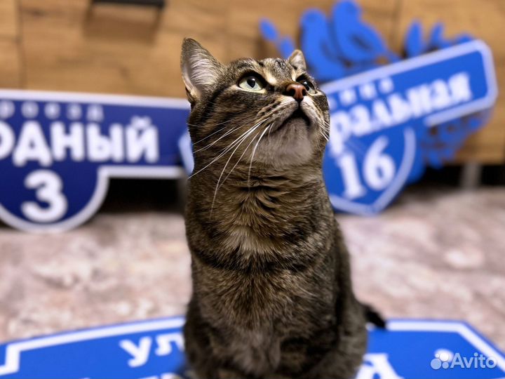 Адресник для дома и дачи