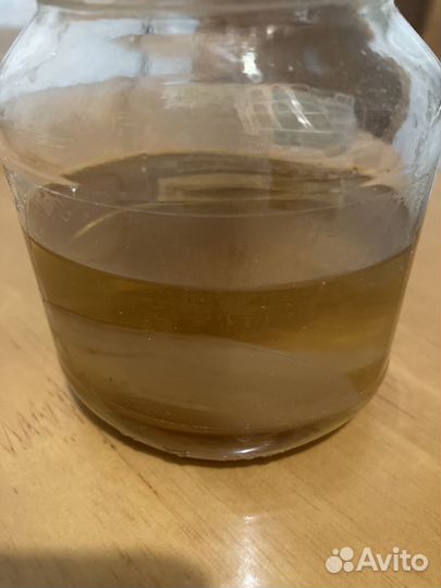 Чайный гриб бесплатно